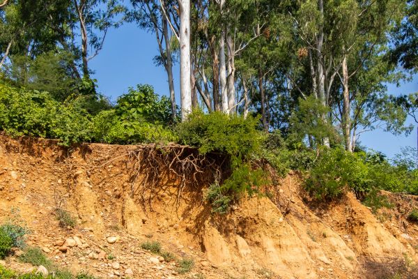 Erosion Control - Erosion Control Fort Worth, Texas