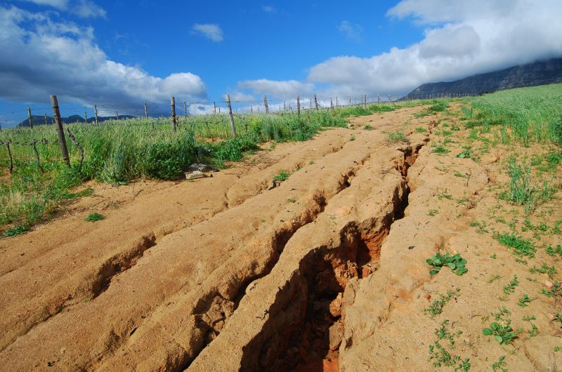 Residential Erosion Control